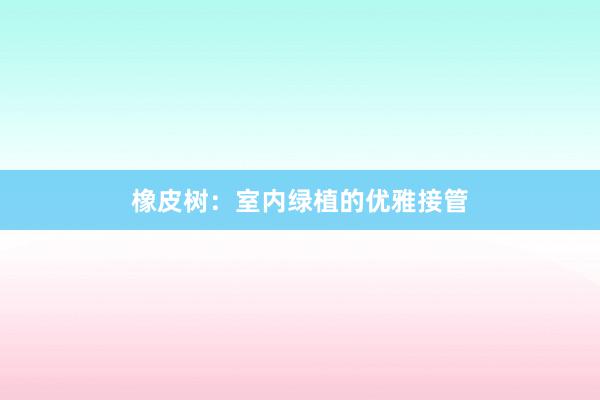 橡皮树：室内绿植的优雅接管